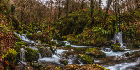 river in autumn forest