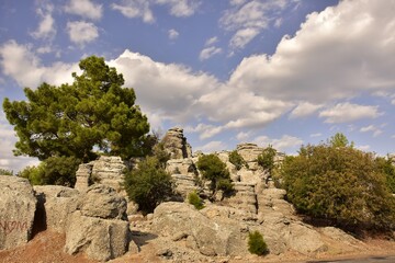 Fototapety na wymiar - Fototapeta24.pl