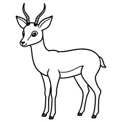 cute springbok  line art vector 