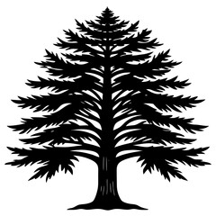 Obraz premium Cedar vector silhouette 
