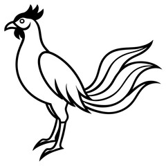 rooster isolated on white background