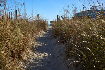 Obraz premium grass on the beach