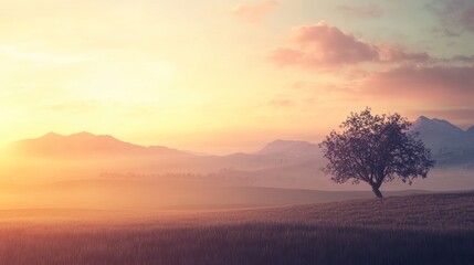 Solitary tree on a misty field at sunrise, mountains in background.