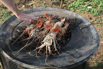 Delicious Grilled Lobsters in the Jungles of Liberia