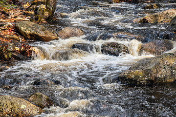 trap falls brook  making its  through the state forest
