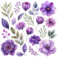 Collection of Purple Watercolor Flowers and Leaves Isolated on White Background