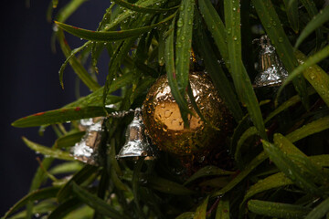 Obraz premium Christmas decorations 16150
