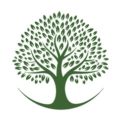 Obraz premium Vector Illustration of a Beautiful Tree with Thick Brown Trunk, Branches, and Green Grass on White Background