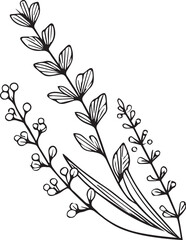 simple flower coloring pages, Coloring pages for kids, hand drawing Lavender flower sketch art, blossom Lavender flower line art vector illustration, floral garden for beautiful Lavender flower