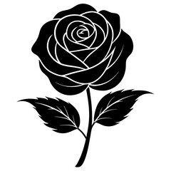 Silhouette of rose flower