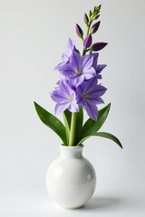 Obraz premium Delphinium flower in a vase on a white background, blooming, floral arrangement