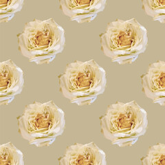 Elegant white roses seamless vector pattern