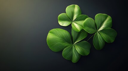 Two green leaves with four-leaf clovers, symbolizing luck and good fortune.
