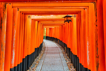 The torii gate covered walking path at Fushimi Inari Taisha temple in Kyoto, Japan. ( Japanese inscriptions translated are different religion blessings)