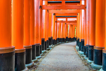 The torii gate covered walking path at Fushimi Inari Taisha temple in Kyoto, Japan. ( Japanese...