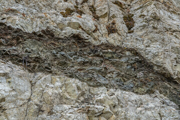 Angeles Crest Scenic Byway, Los Angeles County, California. San Gabriel Mountains. GRANITIC ROCKS / igneous rocks. complexly intrusive as pods and dikes, some as aplite and pegmatite dikes