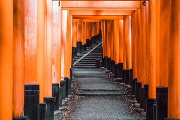 The torii gate covered walking path at Fushimi Inari Taisha temple in Kyoto, Japan. ( Japanese inscriptions translated are different religion blessings)