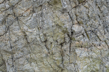 Angeles Crest Scenic Byway, Los Angeles County, California. San Gabriel Mountains. GRANITIC ROCKS / igneous rocks. complexly intrusive as pods and dikes, some as aplite and pegmatite dikes