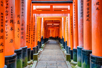 The torii gate covered walking path at Fushimi Inari Taisha temple in Kyoto, Japan. ( Japanese...