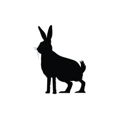 Naklejka premium donkey silhouette vector