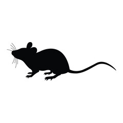 mouse on white