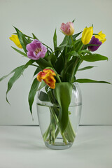 Beautiful bouquet of tulips in a clear glass vase with a white background.
