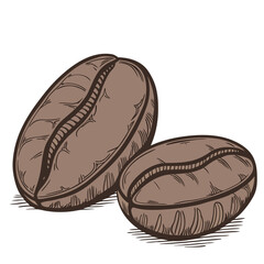 hand drawn illustration of a beans