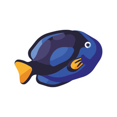fish on blue background