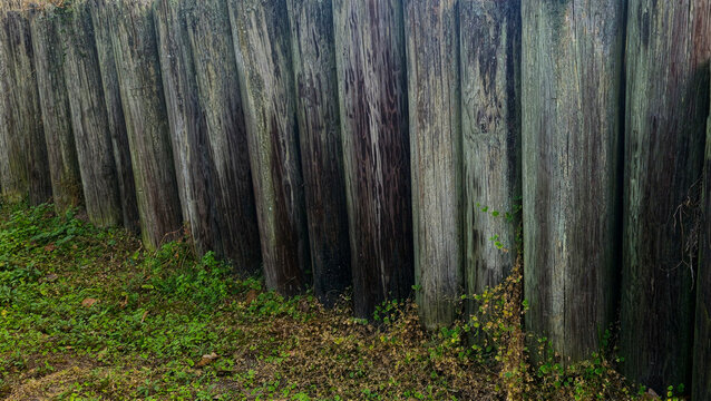 A row of post side by side in the ground with grass in front