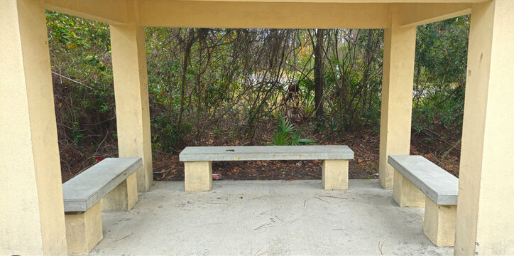 A bus stop with three benches in the woods