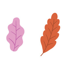 Obraz premium red leaf isolated on white