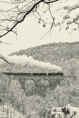 Steam locomotive on Zampach bridge near Jilove u Prahy, Central Bohemia, Czech Republic