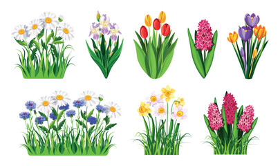 Set of spring and summer flowers with grass in cartoon style.Vector illustrations of different flowers, leaves and herbs:daisies,irises, tulips, hyacinths, crocuses, cornflowers, daffodils, hyacinths.