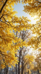 Fototapeta premium Leafy branches in autumn with golden yellow leaves and sunny weather, selective focus, outdoor, golden leaves