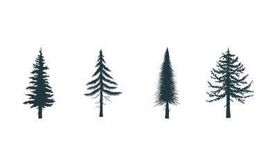 Obraz premium set of trees