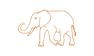 vector image of an elephant