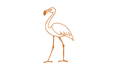 pink flamingo bird