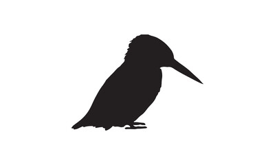 bird on a branch