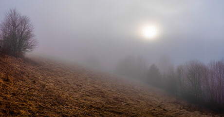 morning mist in the morning