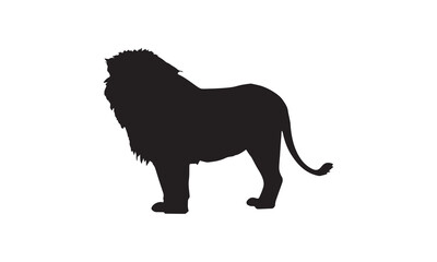 lion illustration