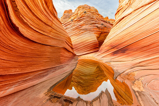 Reflections at The Wave