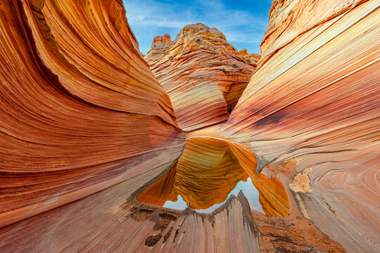The Wave and Reflection