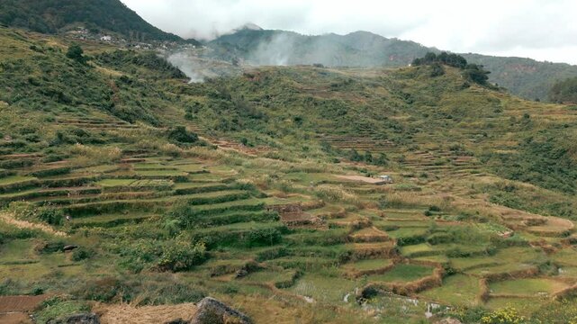 Rice Fields Philippines Drone Slow Sideways Movement