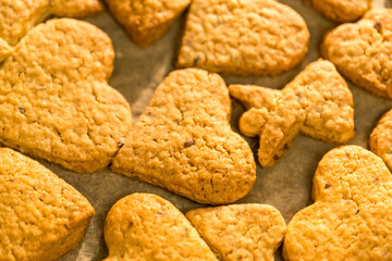 Delicious Christmas cookies just out of the oven
