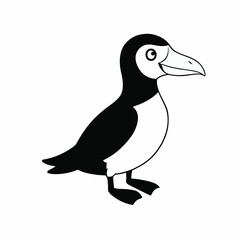 A auk cartoon vector illustration