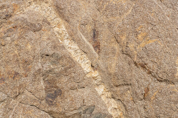 Granitic Rocks / Leucocratic Plutonic Rocks. intrusive / dikes. sheared and stained brown from iron oxides.( grdb ）. Angeles Crest Scenic Byway, Los Angeles County, California. San Gabriel Mountains. 