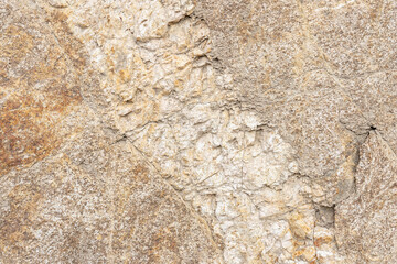 Granitic Rocks / Leucocratic Plutonic Rocks. intrusive / dikes. sheared and stained brown from iron oxides.( grdb ）. Angeles Crest Scenic Byway, Los Angeles County, California. San Gabriel Mountains. 