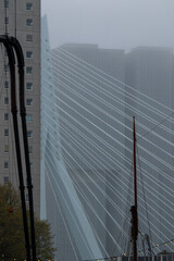 Erasmusbrug in Rotterdam