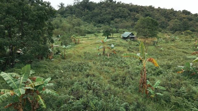 abandoned Farm House in the Mountains