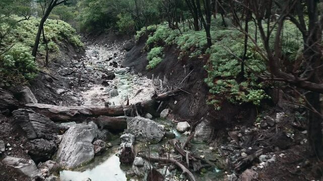 Sulfur Wasteland with Tree Log